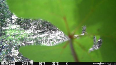 PICT2597.JPG