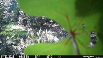 PICT3113.JPG
