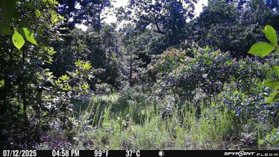 PICT0319.JPG