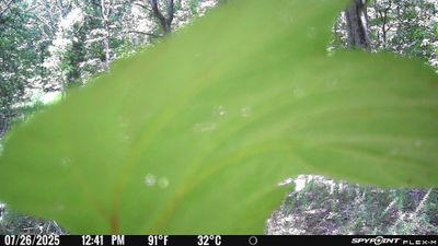 PICT3622.JPG