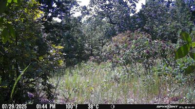 PICT0411.JPG
