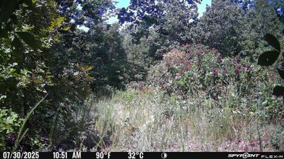 PICT0421.JPG