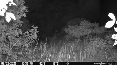 Cam2