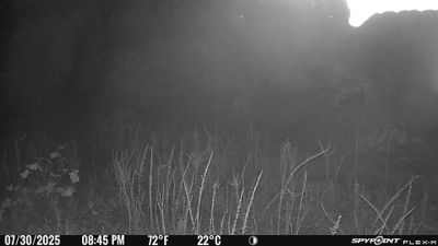 Cam5