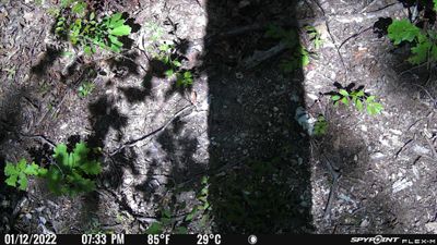 PICT0273.JPG