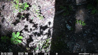 PICT0279.JPG