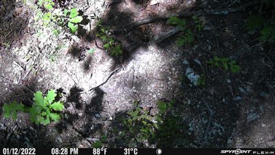PICT0298.JPG