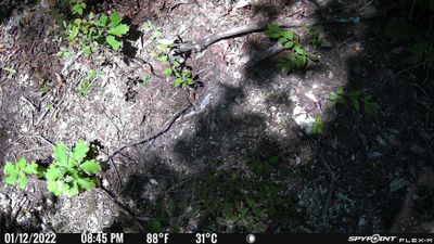 PICT0311.JPG