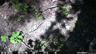 PICT0313.JPG