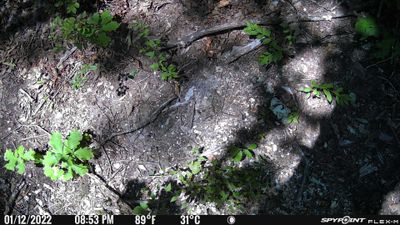 PICT0316.JPG
