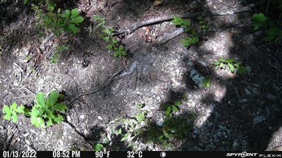 PICT0371.JPG