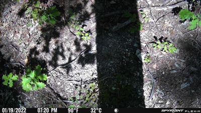 PICT0407.JPG