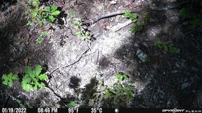 PICT0411.JPG