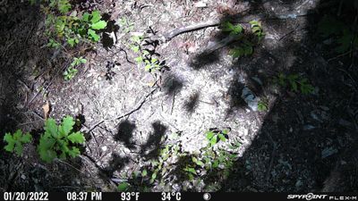 PICT0421.JPG