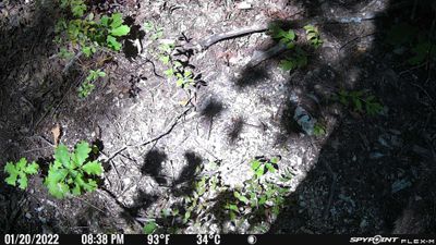 PICT0422.JPG