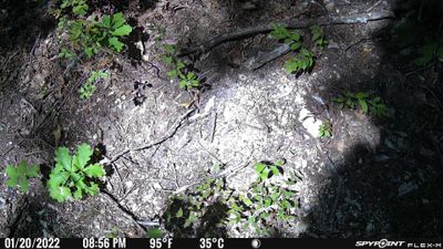 PICT0423.JPG