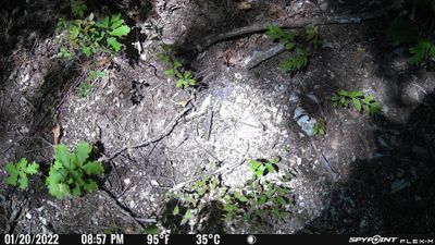 PICT0424.JPG