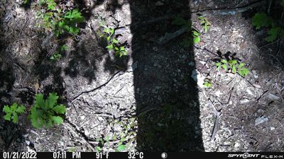 PICT0428.JPG
