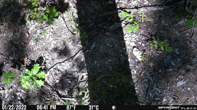 PICT0431.JPG