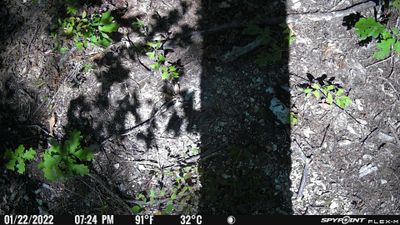 PICT0435.JPG