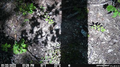 PICT0437.JPG