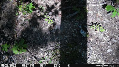 PICT0438.JPG