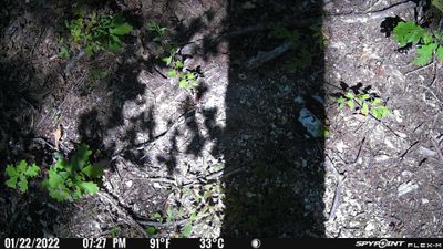 PICT0439.JPG