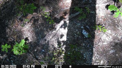 PICT0444.JPG