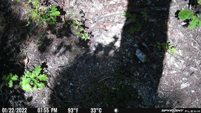 PICT0450.JPG