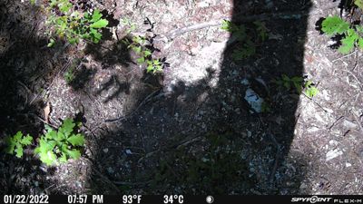 PICT0452.JPG