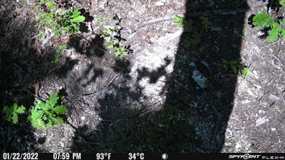 PICT0453.JPG