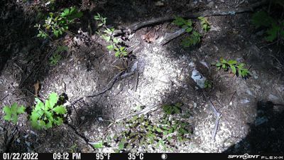 PICT0470.JPG