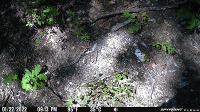 PICT0471.JPG