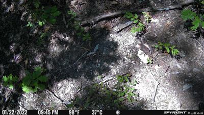 PICT0474.JPG