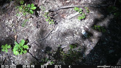 PICT0482.JPG