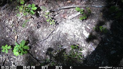 PICT0483.JPG