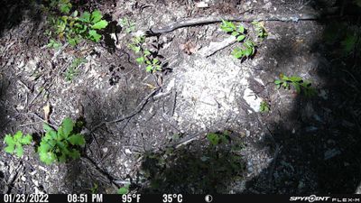 PICT0487.JPG
