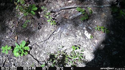 PICT0491.JPG