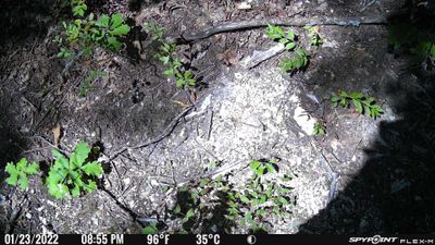 PICT0493.JPG