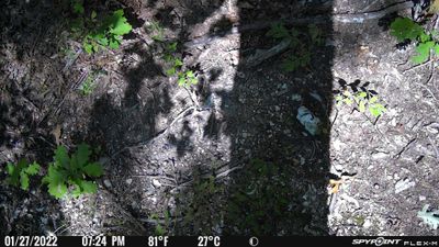 PICT0572.JPG