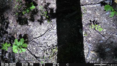 PICT0578.JPG