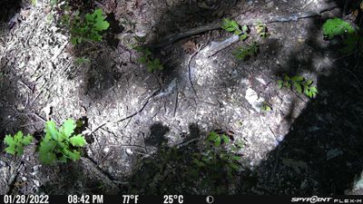 PICT0592.JPG