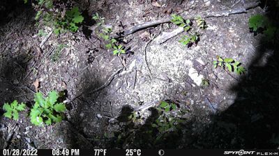 PICT0597.JPG