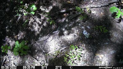 PICT0628.JPG