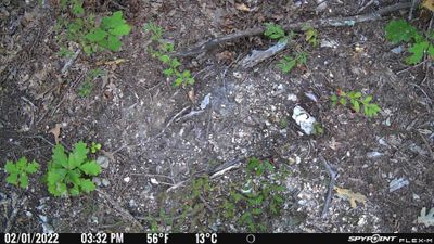 PICT0719.JPG