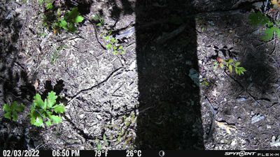 PICT0782.JPG
