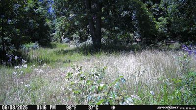 PICT0104.JPG