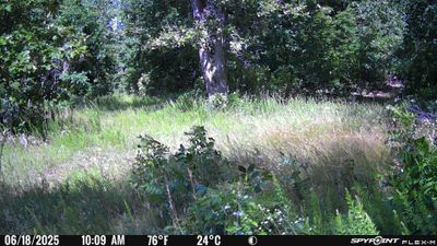 PICT0191.JPG