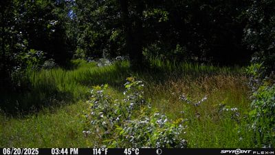 PICT0261.JPG