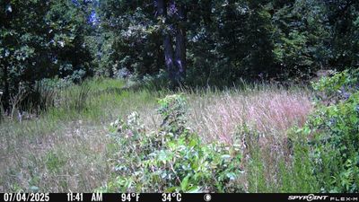 PICT0610.JPG
